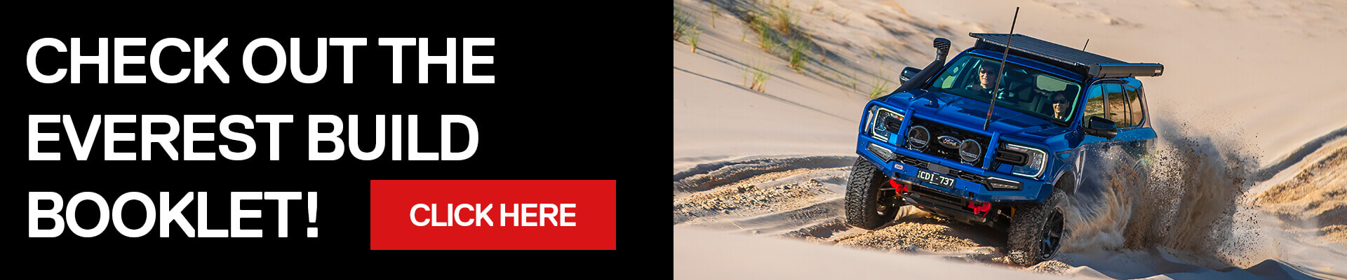 everest_promo_banner_web[1]